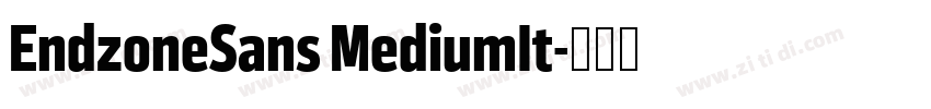 EndzoneSans MediumIt字体转换
